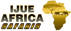 Ijue Africa Safaris